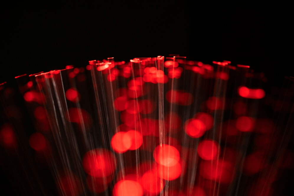 Red Light Therapy vs. Infrared What's the Difference?